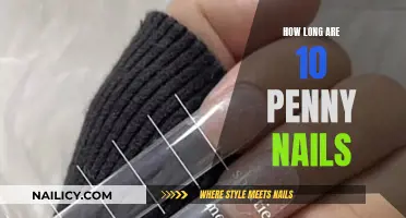 Standard 10d Nails: Length and Specifications Explained