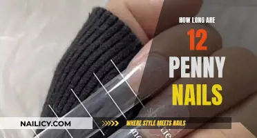 Standard Nail Sizes: Length of 12 Penny Nails
