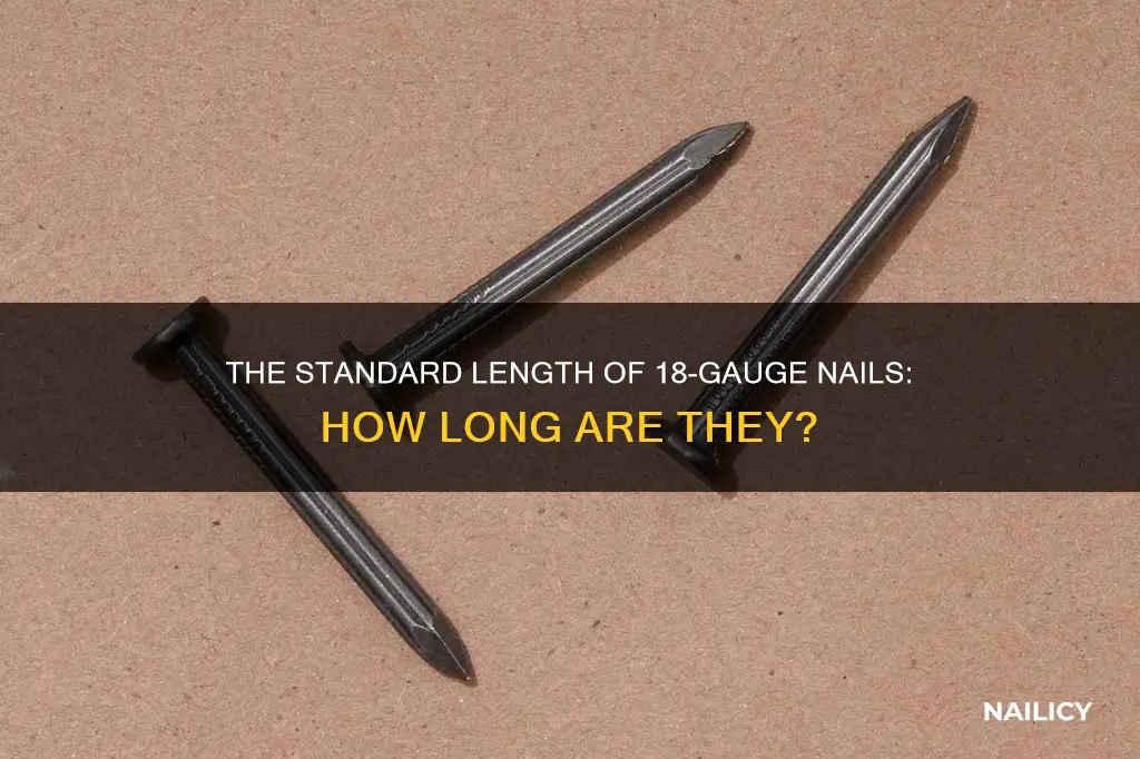 how long are 18 guage nails