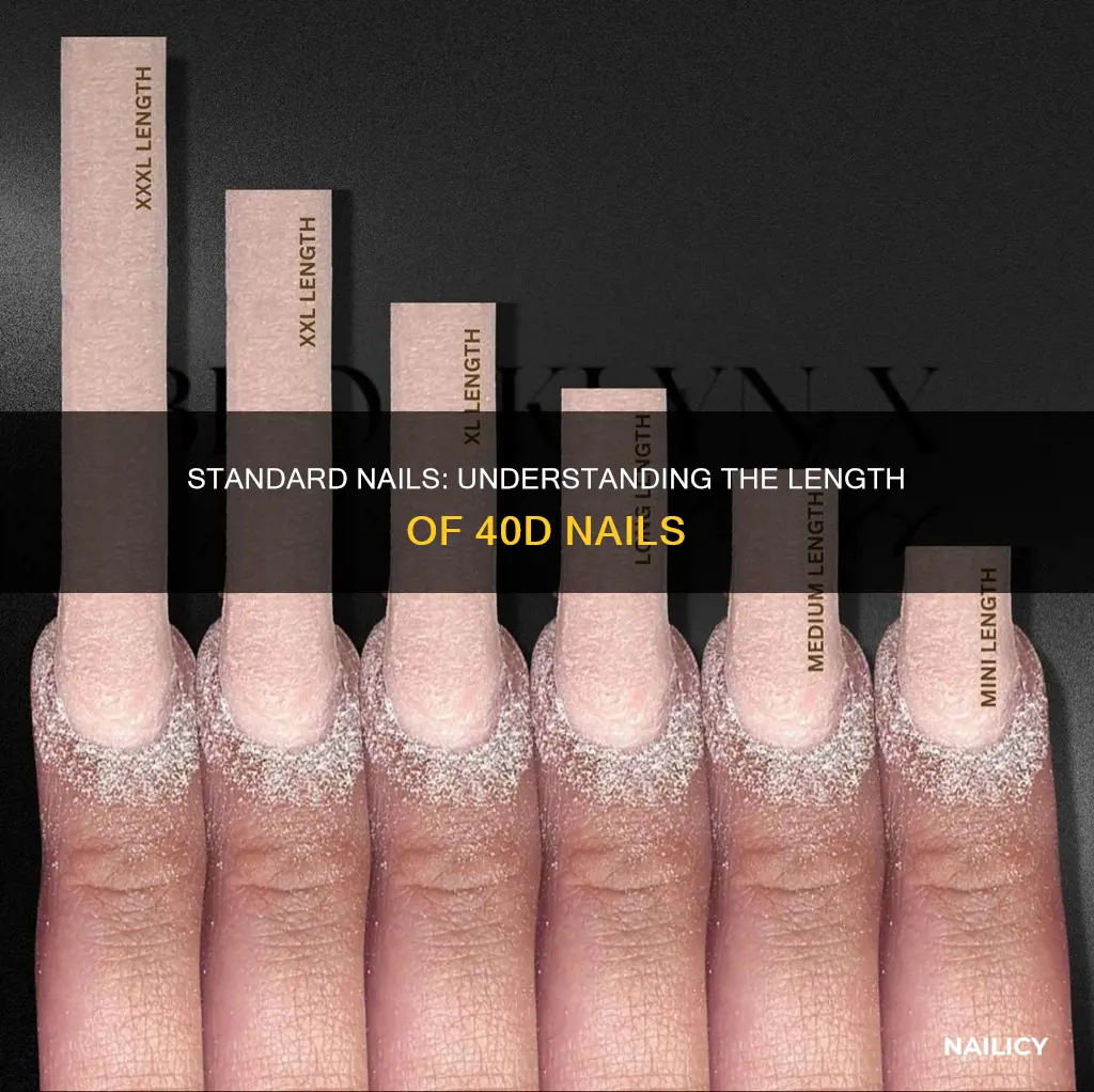 how long are 40d nails