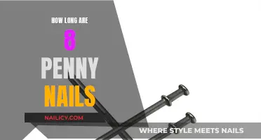 The Standard Length of 8-Penny Nails and Why