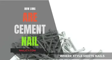 Cement Nails: How Long Are They?