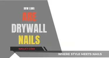 Drywall Nails: How Long Should They Be?
