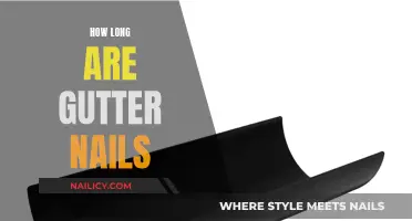 Gutter Nails: How Long Should They Be?