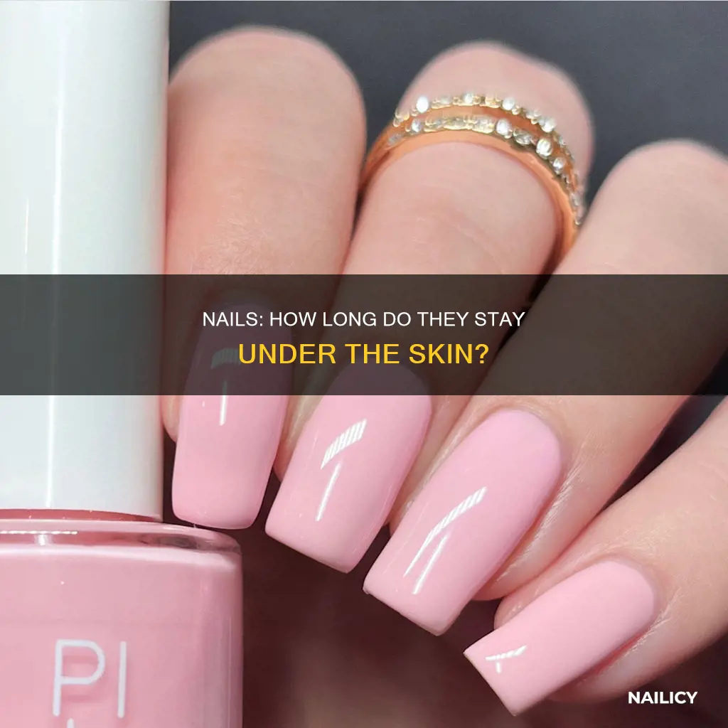 how long are nails under the skin