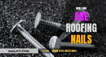 The Right Roofing Nails: Ensuring Proper Length