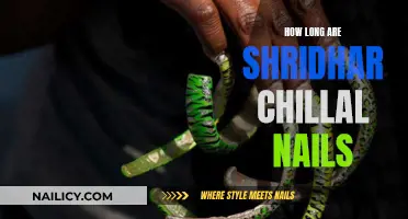 The Astonishing Length of Shridhar Chillal's Nails