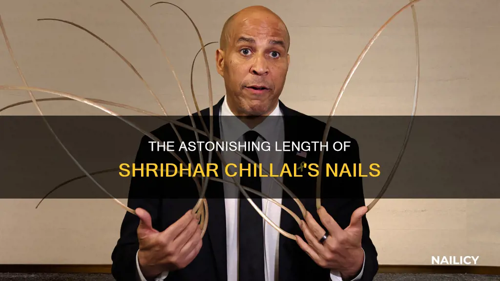 how long are shridhar chillal nails