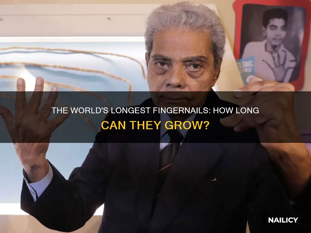 how long are the longest nails in the world