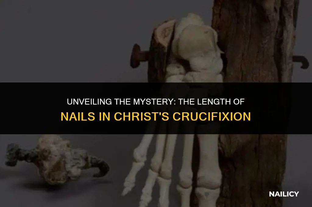 how long are the nails used to crucify christ