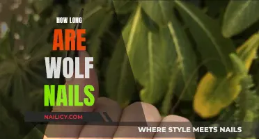 Wolf Nails: How Long is Too Long?