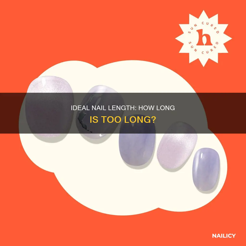how long are your nails supposed to be