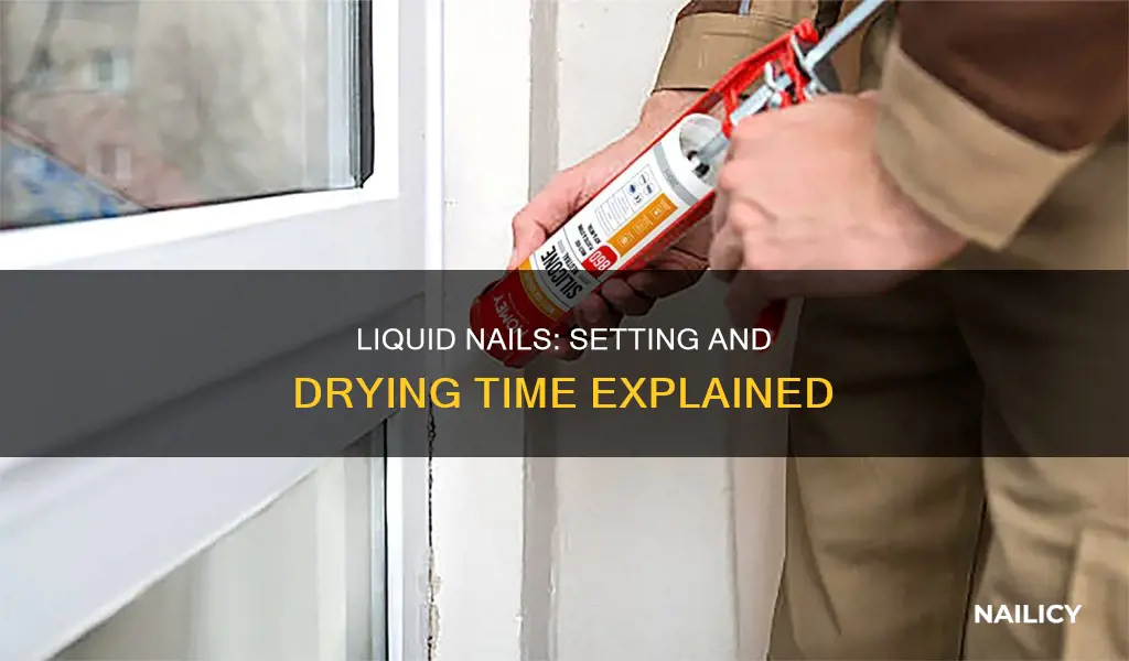 how long before liquid nails sets