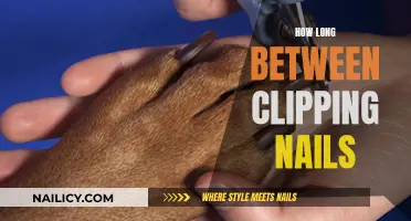 The Ideal Gap Between Nail Clipping Sessions