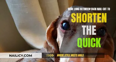 Trimming Dog Nails: Shortening the Quick