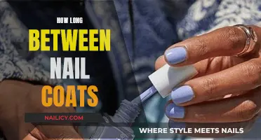 Waiting Time Between Nail Coats: How Long?