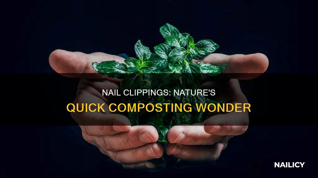 how long biodsgrade nail clippings