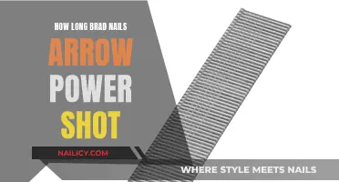 Power Shot Brad Nails: How Long Do They Last?