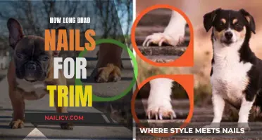 Choosing the Right Brad Nails for Trim Work