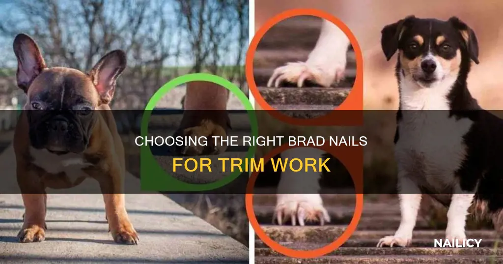 how long brad nails for trim