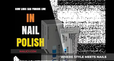 Can Fungus Survive in Nail Polish? Lifespan and Prevention Tips