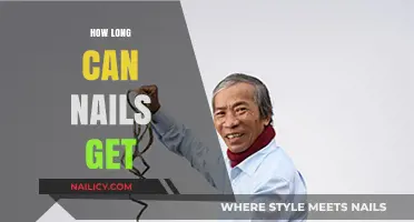 Exploring the Limits: How Long Can Nails Really Get?