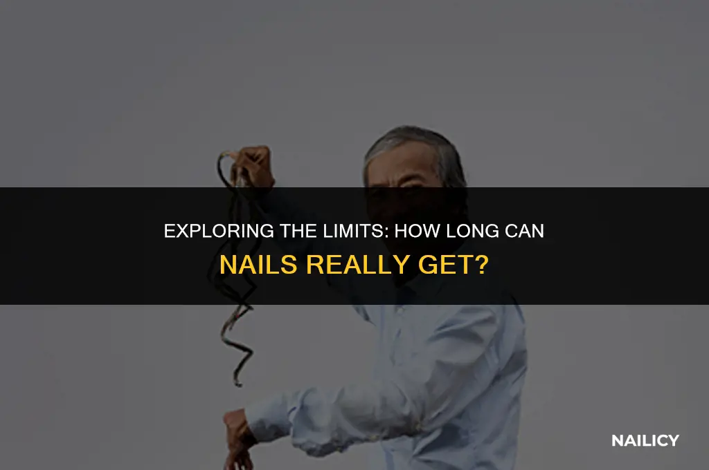 how long can nails get