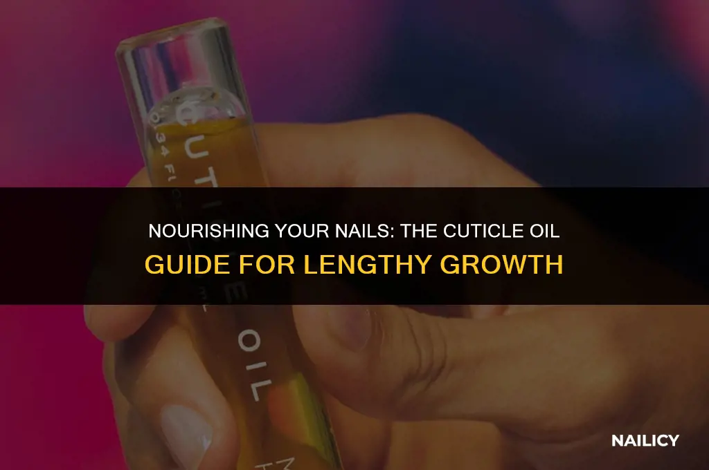 how long cuticle oil to get long nails