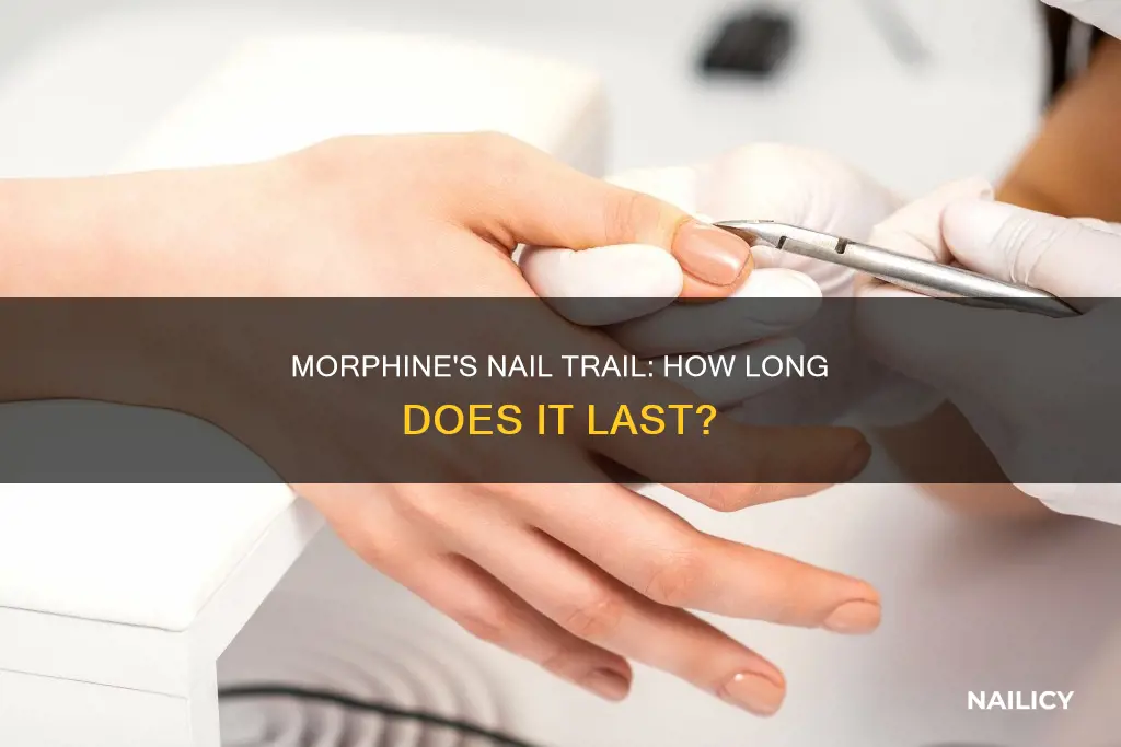 how long d9es morphi e stay in nails