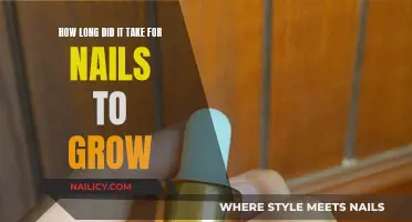 Nail Growth: How Long Does it Take?