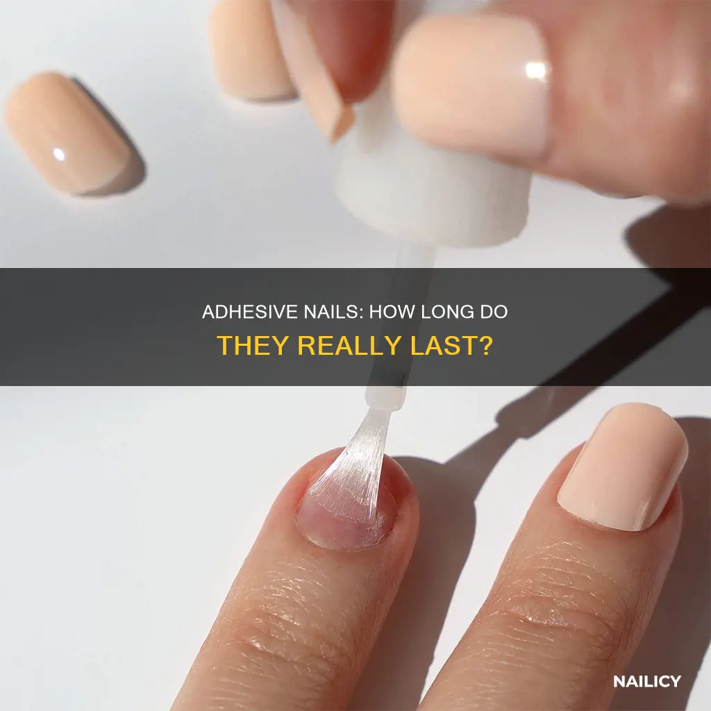 how long do adhesive nails last
