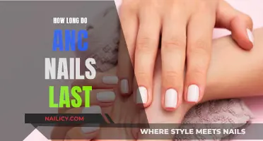 ANC Nails: How Long Do They Last?