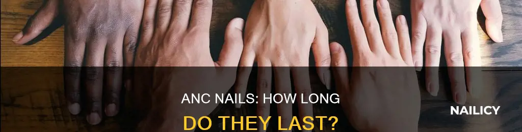 how long do anc nails last
