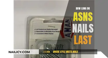 The Ultimate Long-Lasting ASNS Nails Guide