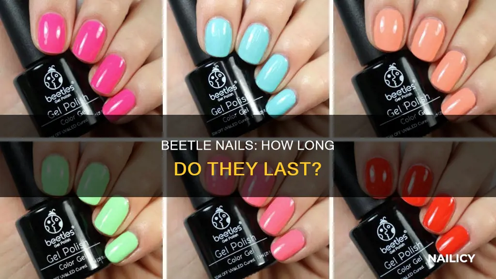 how long do beetles nails last