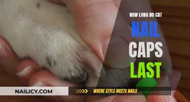 Cat Nail Caps: How Long Before a Change is Needed?