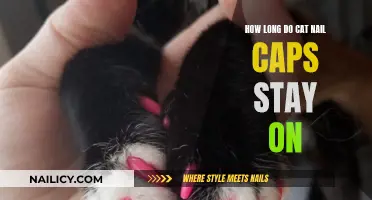 Cat Nail Caps: How Long Do They Last?