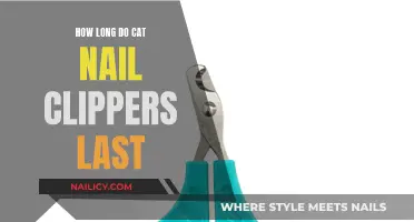 The Lifespan of Cat Nail Clippers: How Long Do They Last?