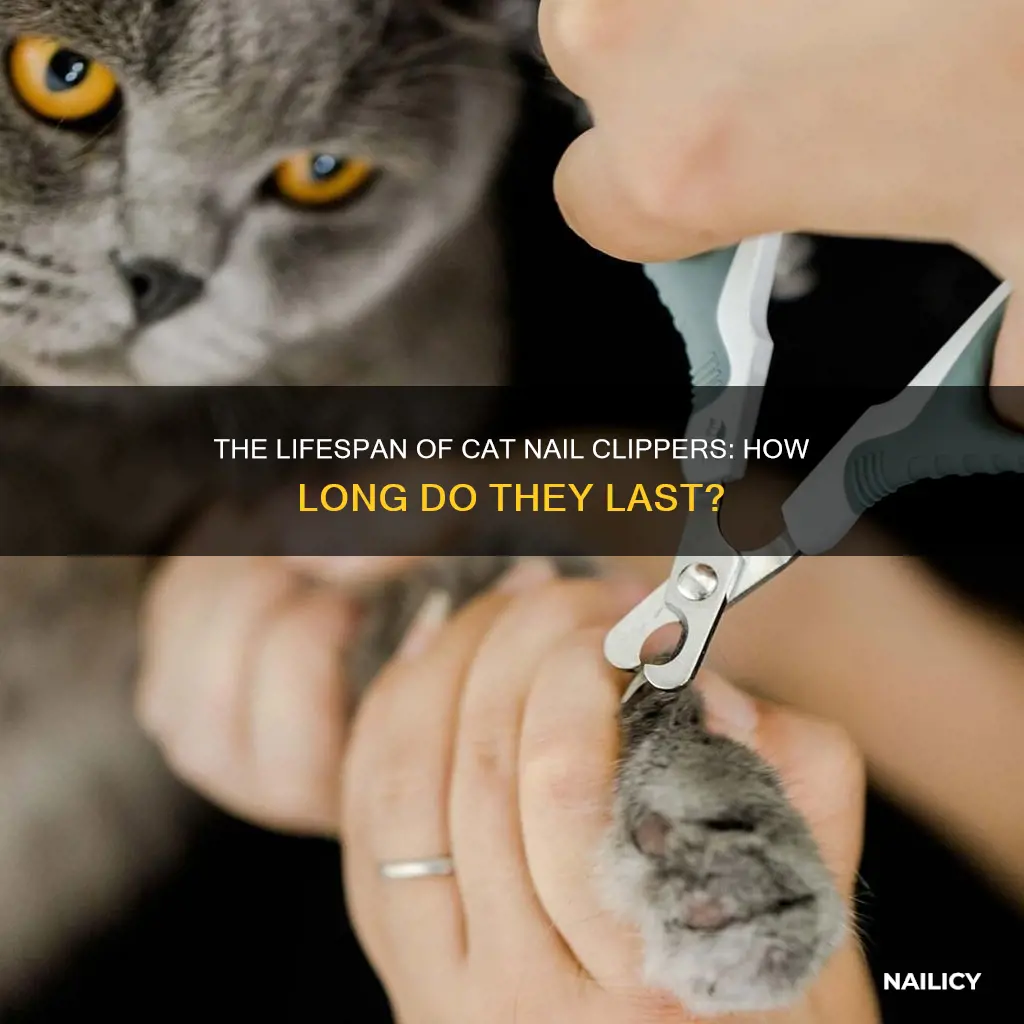 how long do cat nail clippers last