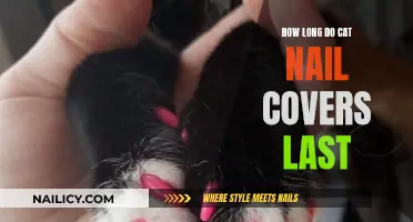Cat Claw Covers: How Long Do They Last?