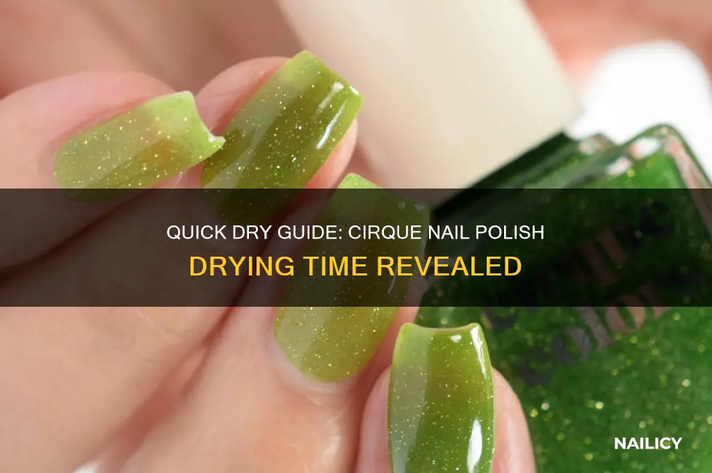 how long do cirque nail polishes take to dry
