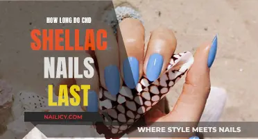 Shellac Nails: How Long Do They Last?
