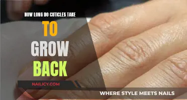 Cuticle Recovery: How Long Before They Regrow?