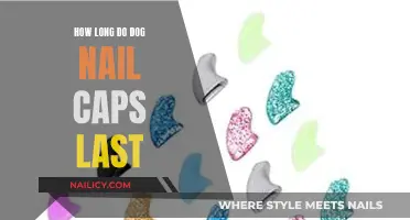 The Lifespan of Dog Nail Caps: How Long Do They Last?