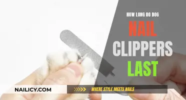 The Lifespan of Dog Nail Clippers: How Long Do They Last?