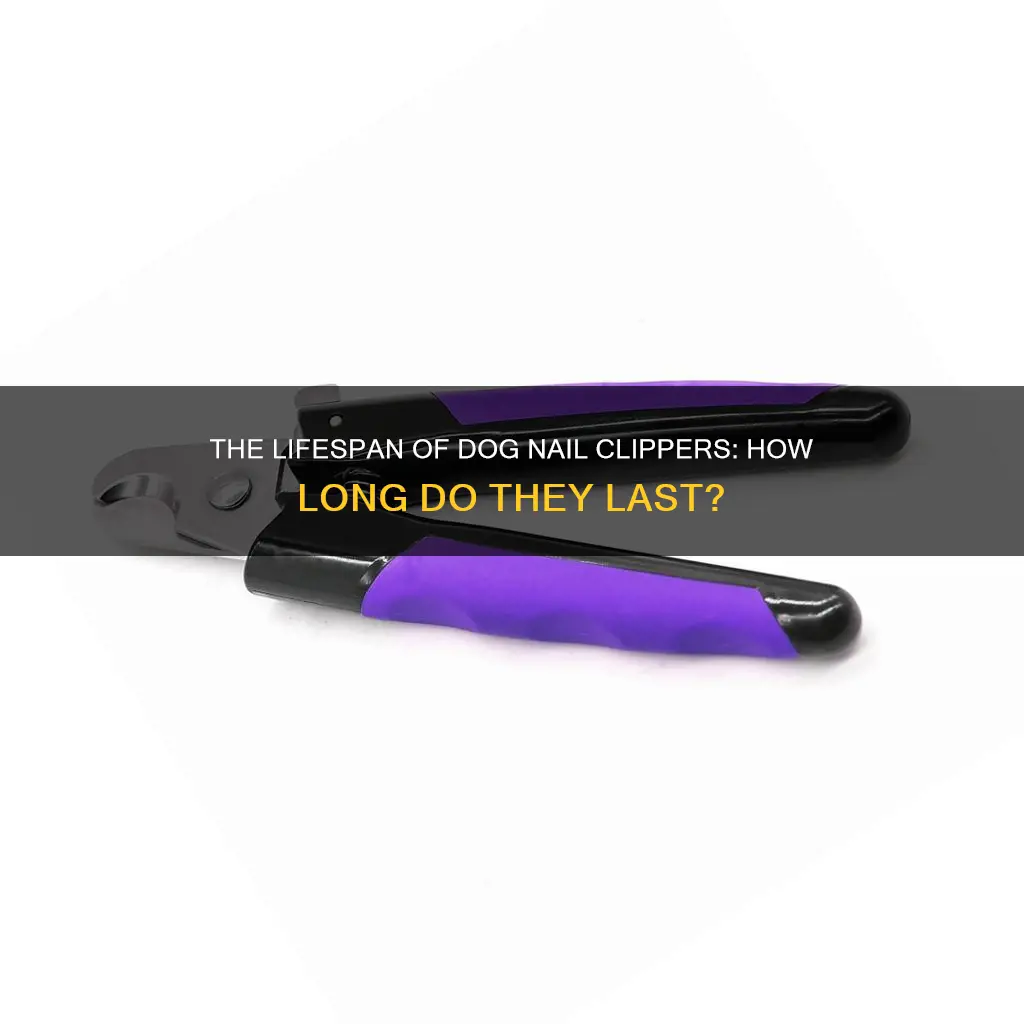 how long do dog nail clippers last