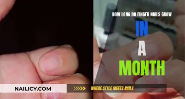 Finger Nails: Monthly Growth and Maintenance