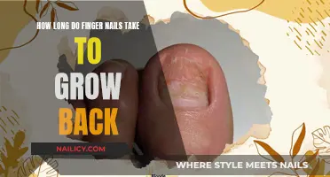 Regrowing Nails: How Long Before They're Back?