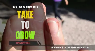 The Growth of Fingernails: How Long Does it Take?