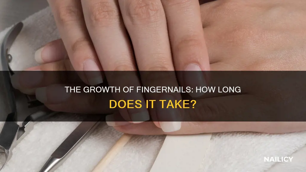 how long do finger nails yake to grow